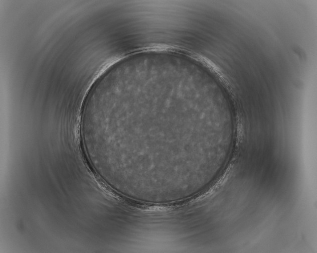 X0000113081178200909250943