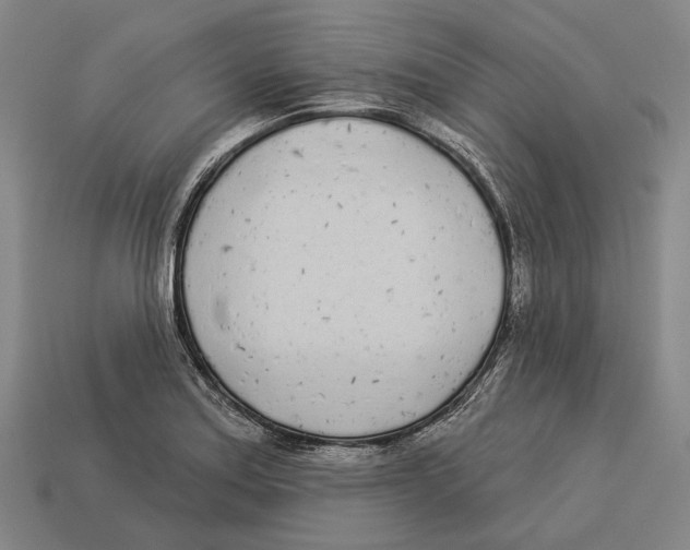 X0000113081179200909250943