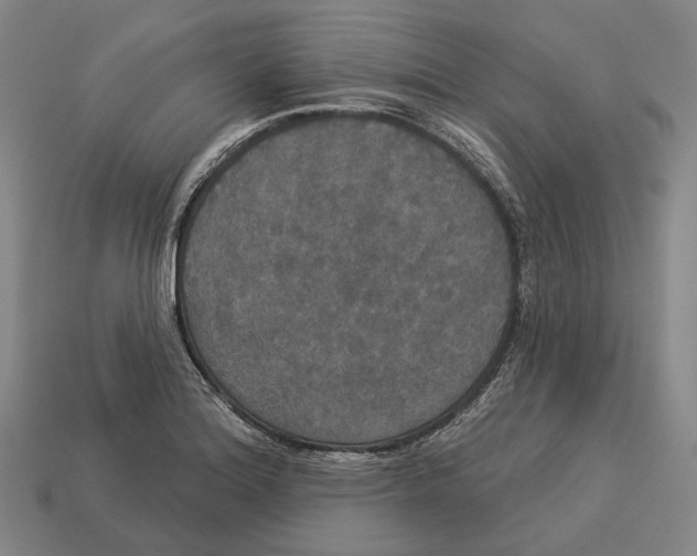 X0000113081180200909250943