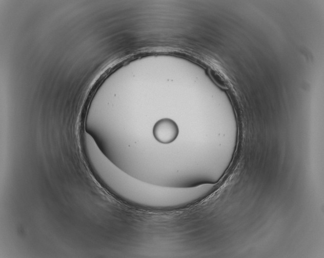 X0000113081181200909250943