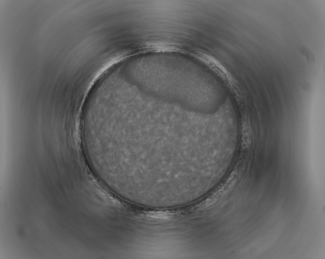 X0000113081182200909250943