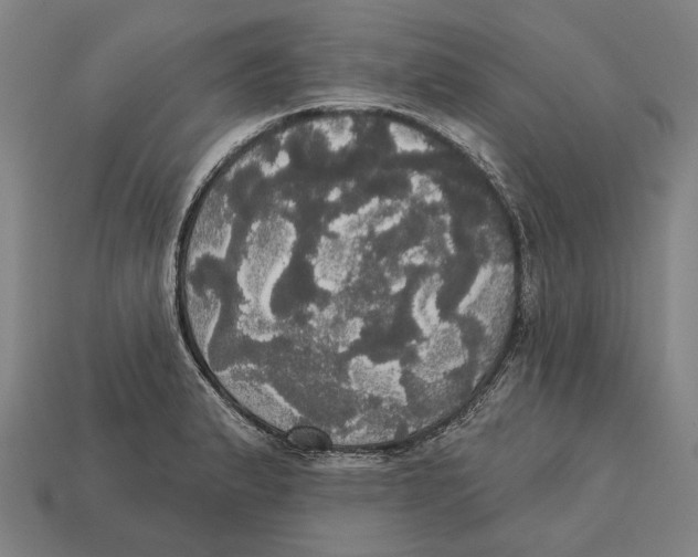 X0000113081183200909250943