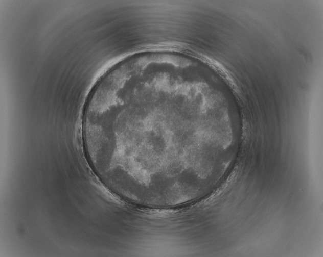 X0000113081184200909250943