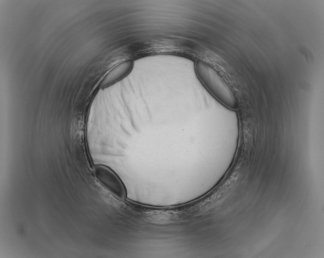 X0000113081185200909250943
