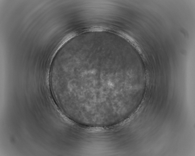 X0000113081186200909250943