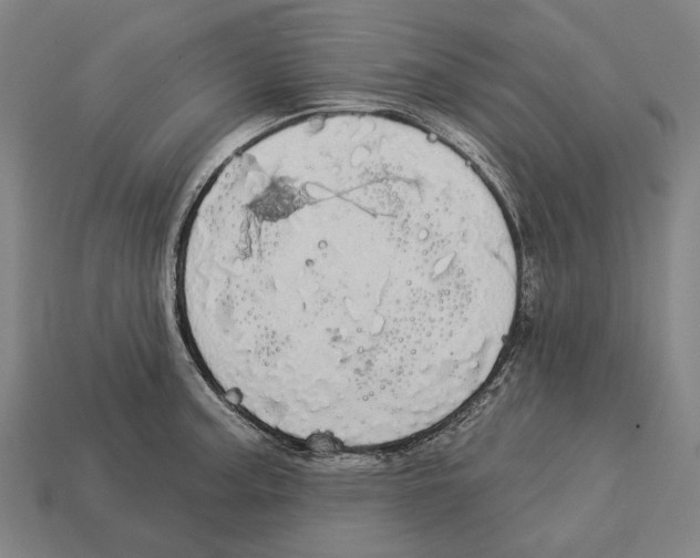 X0000113081187200909250943