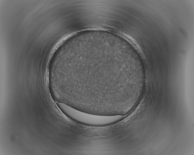 X0000113081188200909250943