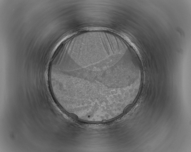 X0000113081189200909250943