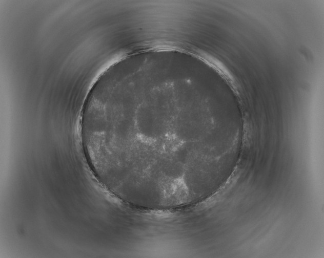 X0000113081190200909250943