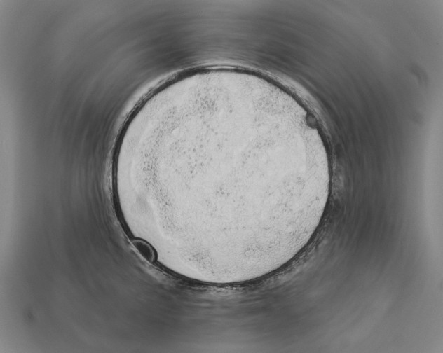 X0000113081191200909250943