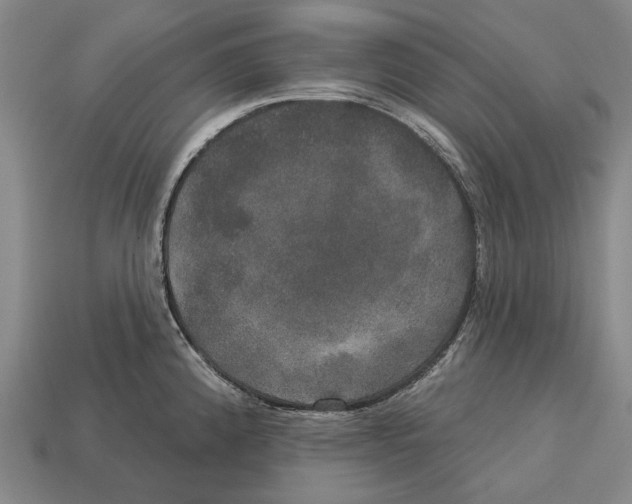 X0000113081192200909250943