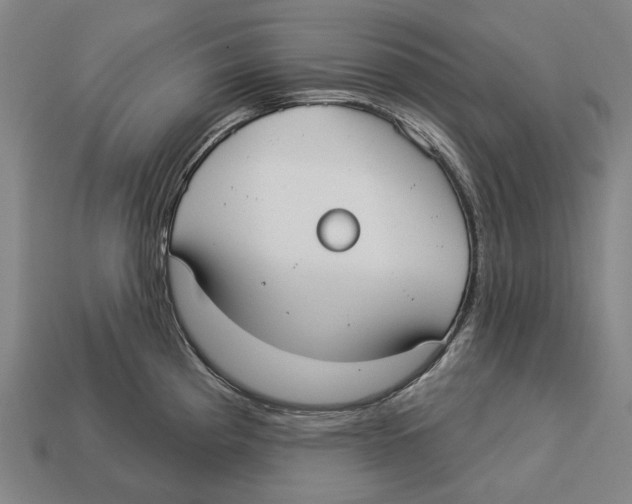 X0000113081193200909250943