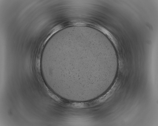 X0000113081194200909250943