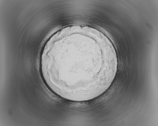 X0000113081195200909250943