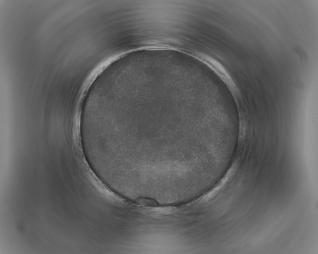 X0000113081196200909250943