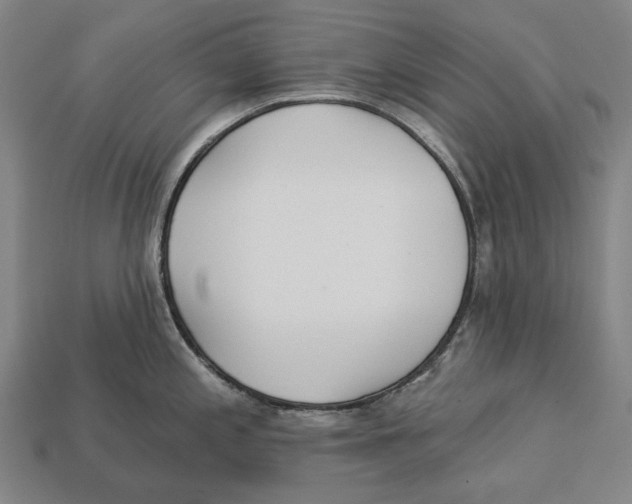 X0000113081197200909250943