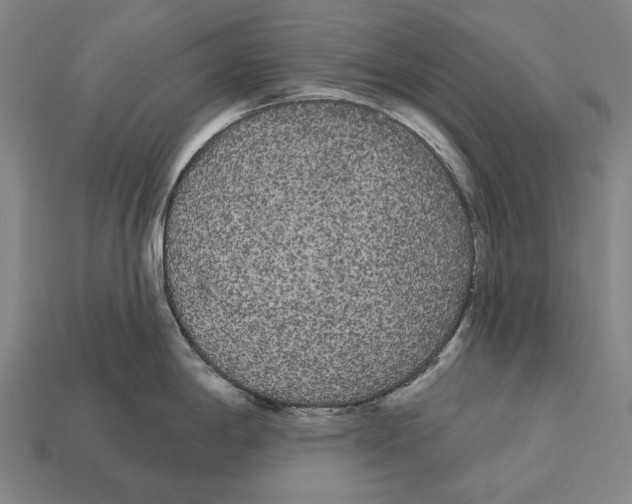 X0000113081198200909250943