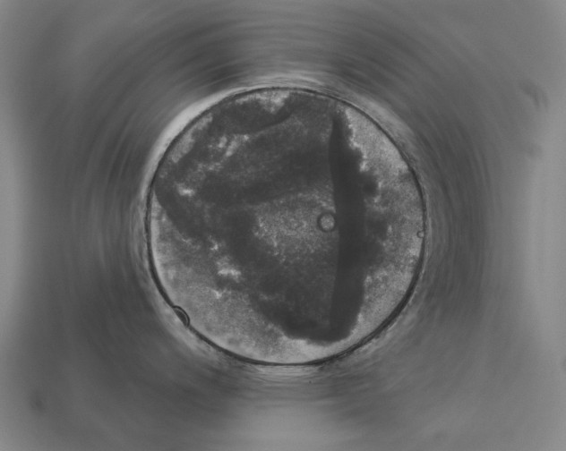 X0000113081200200909250943