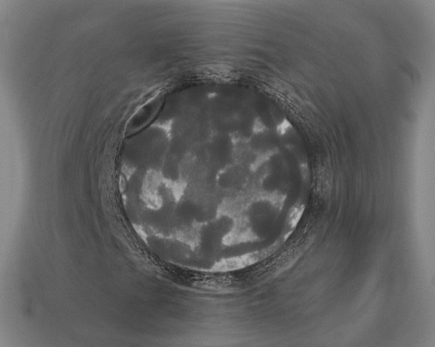 X0000113081201200909250942