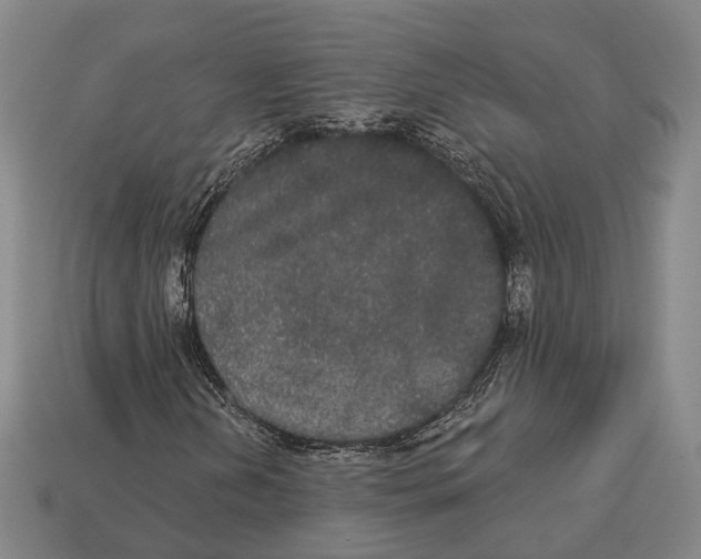 X0000113081202200909250942