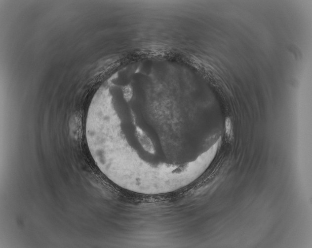 X0000113081203200909250942