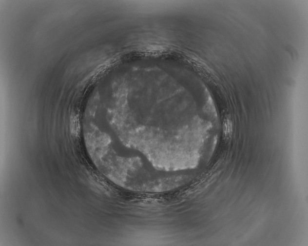 X0000113081204200909250942