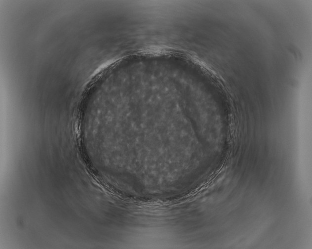 X0000113081206200909250942