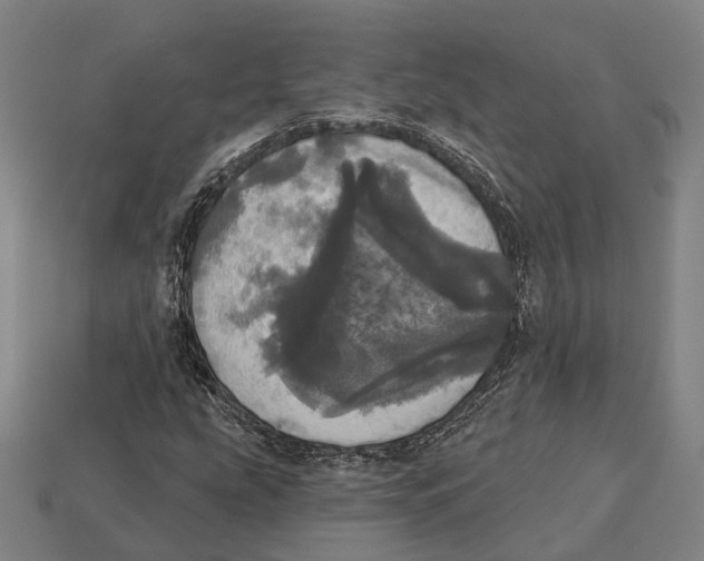 X0000113081207200909250942