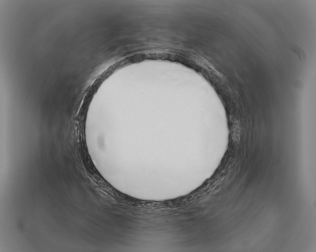 X0000113081208200909250942