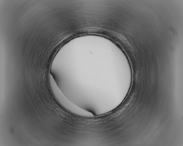 X0000113081209200909250942