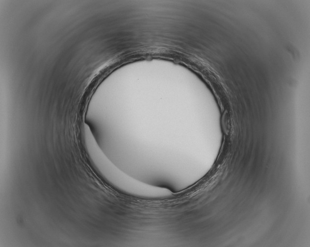X0000113081210200909250942