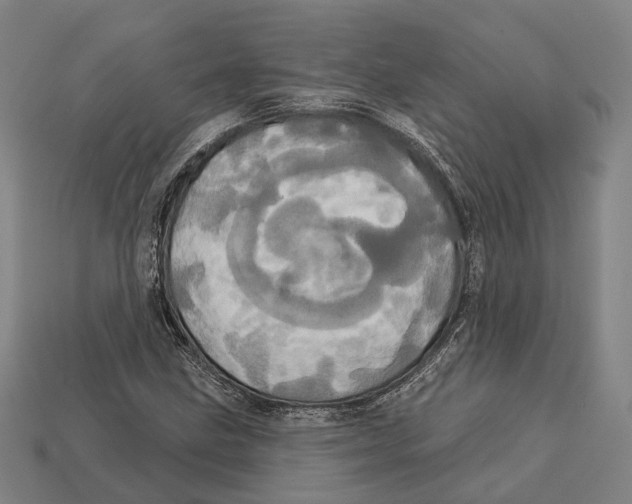 X0000113081211200909250942