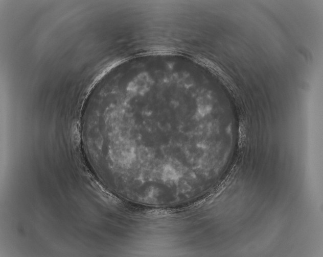 X0000113081212200909250942