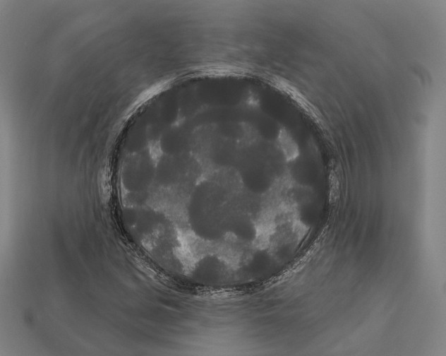 X0000113081213200909250942