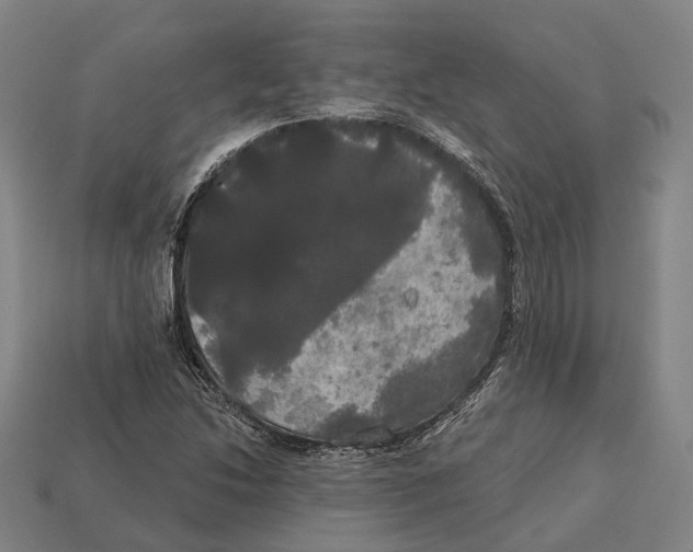 X0000113081214200909250942