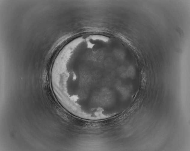 X0000113081215200909250943