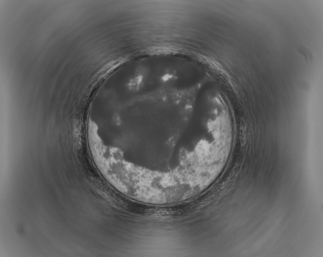 X0000113081217200909250943