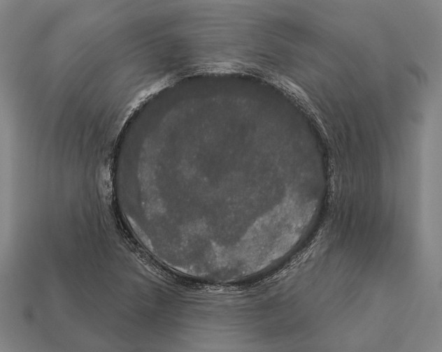 X0000113081218200909250943