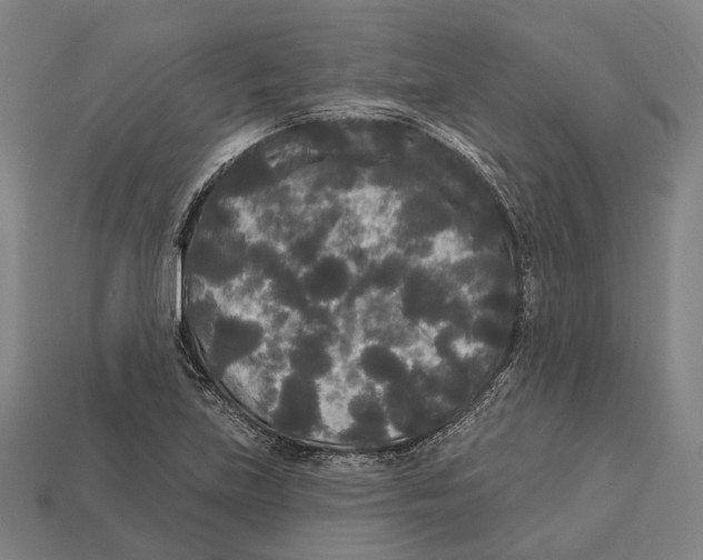 X0000113081219200909250943