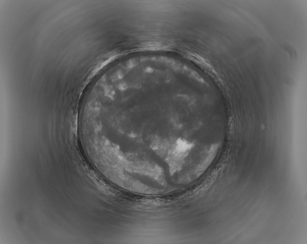 X0000113081220200909250943