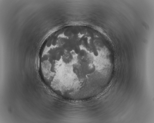 X0000113081221200909250943