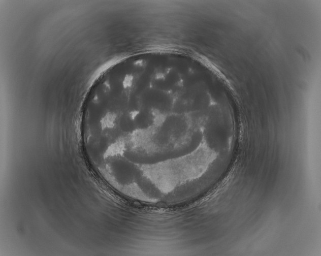 X0000113081222200909250943