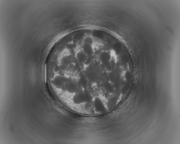 X0000113081223200909250943