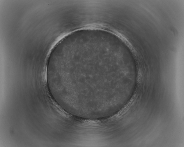 X0000113081224200909250943
