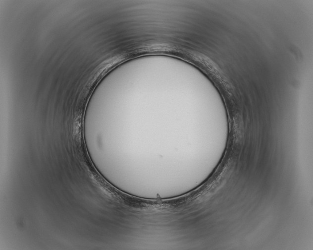X0000113081225200909250943