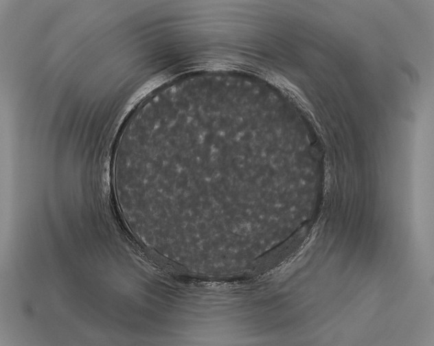X0000113081226200909250943