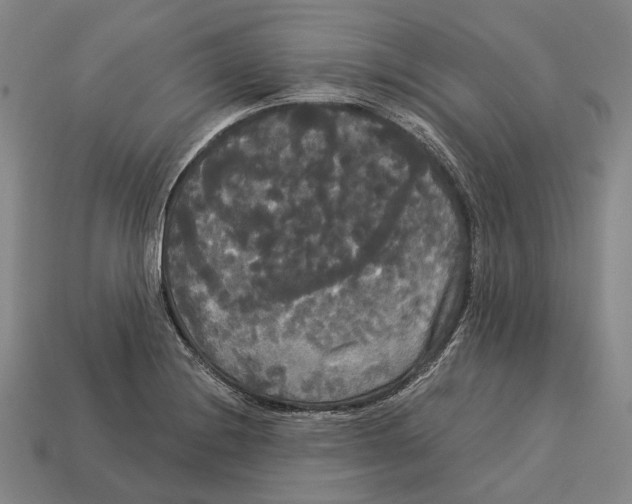 X0000113081228200909250943