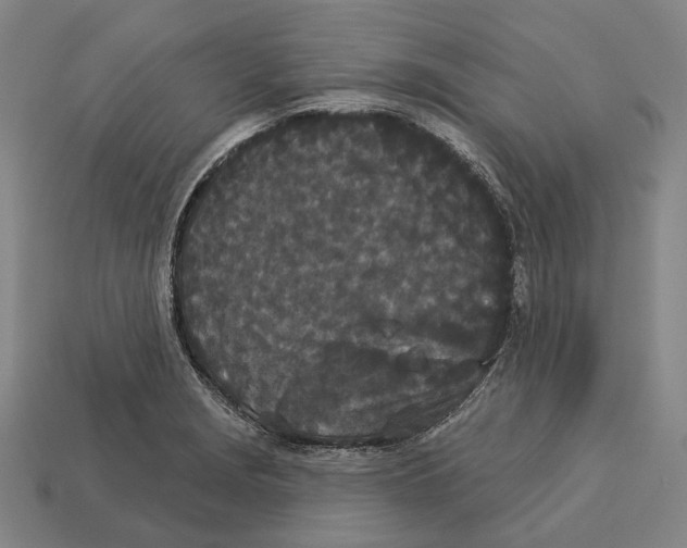 X0000113081229200909250943