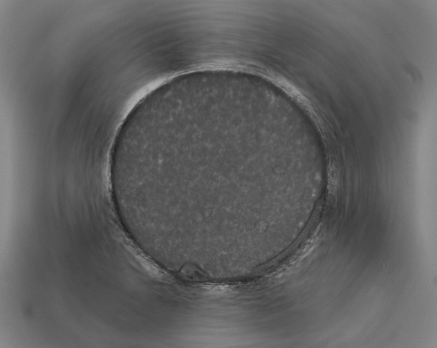 X0000113081230200909250943