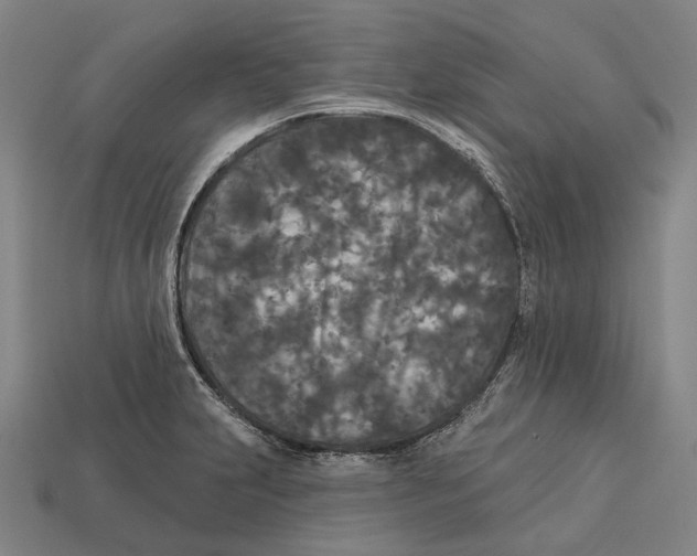 X0000113081231200909250943